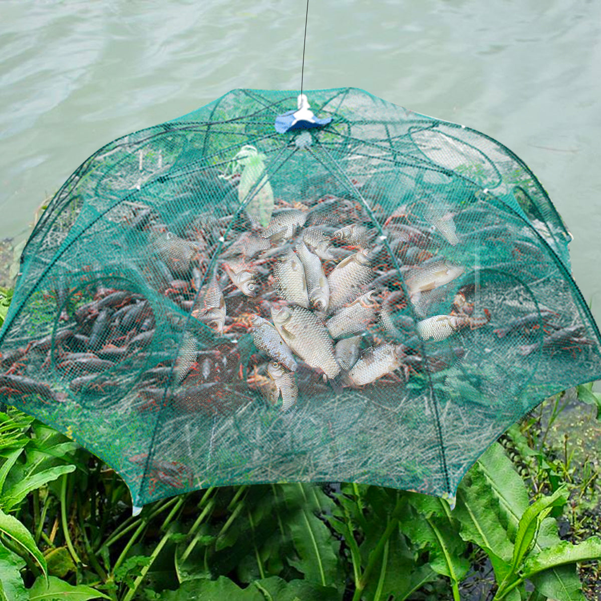 Collapsible Fish & Shrimp Trap – Multi-Entry