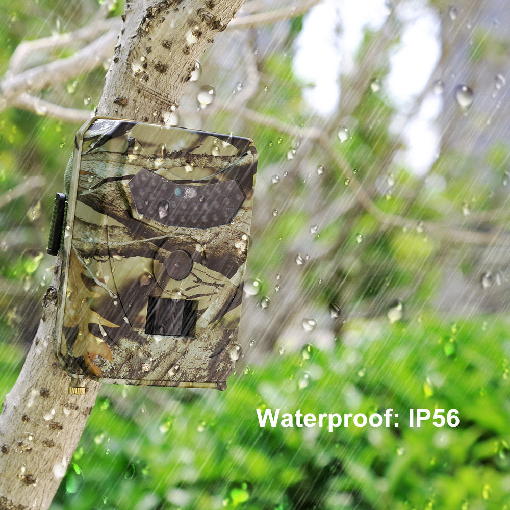 1080P Night Vision Trail & Game Camera