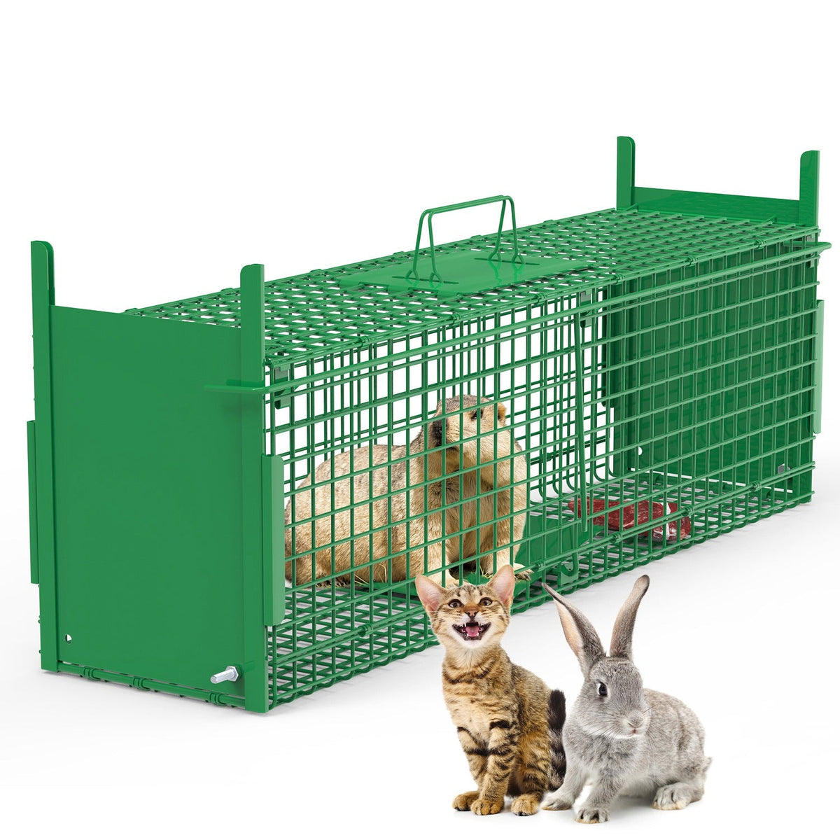 Humane Live Animal Trap – 40" (Raccoon & Opossum)