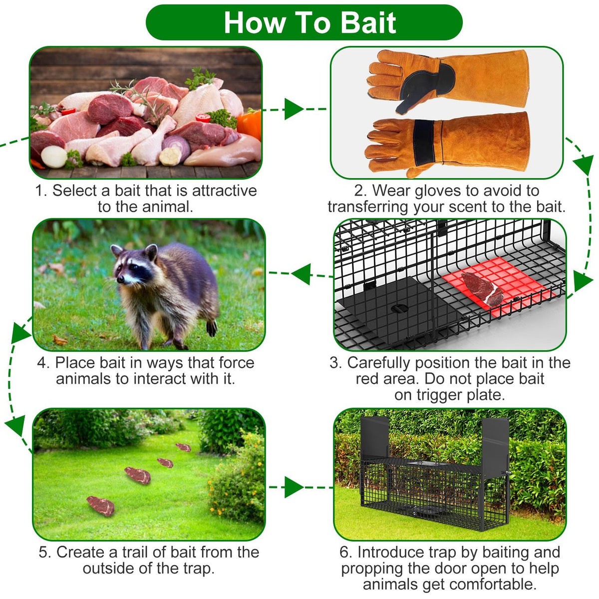 Humane Live Animal Trap – 40" (Raccoon & Opossum)