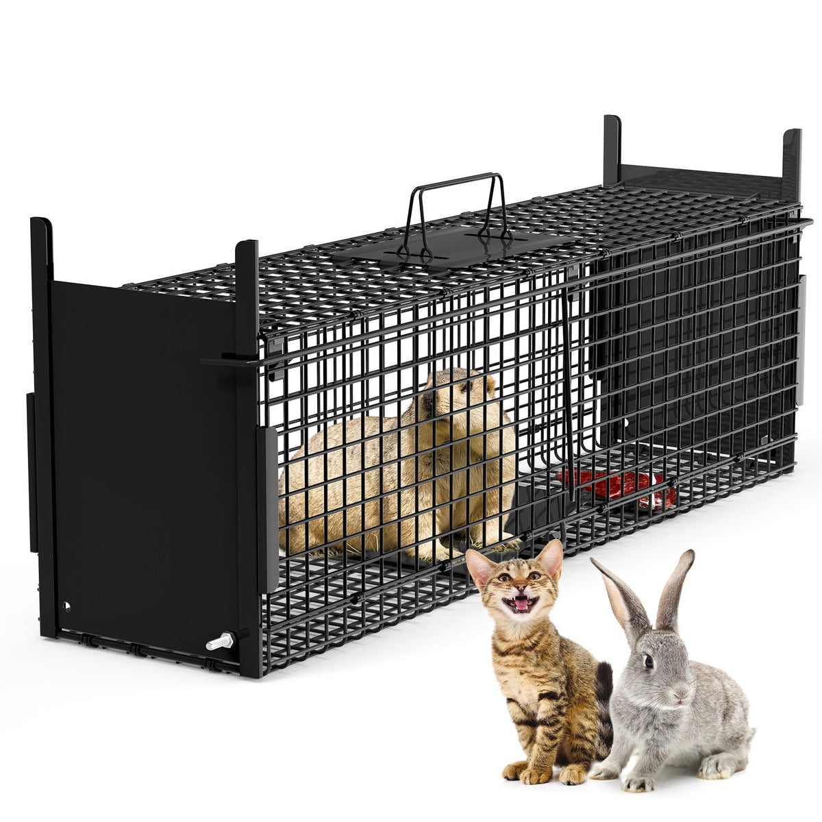 Humane Live Animal Trap – 40" (Raccoon & Opossum)