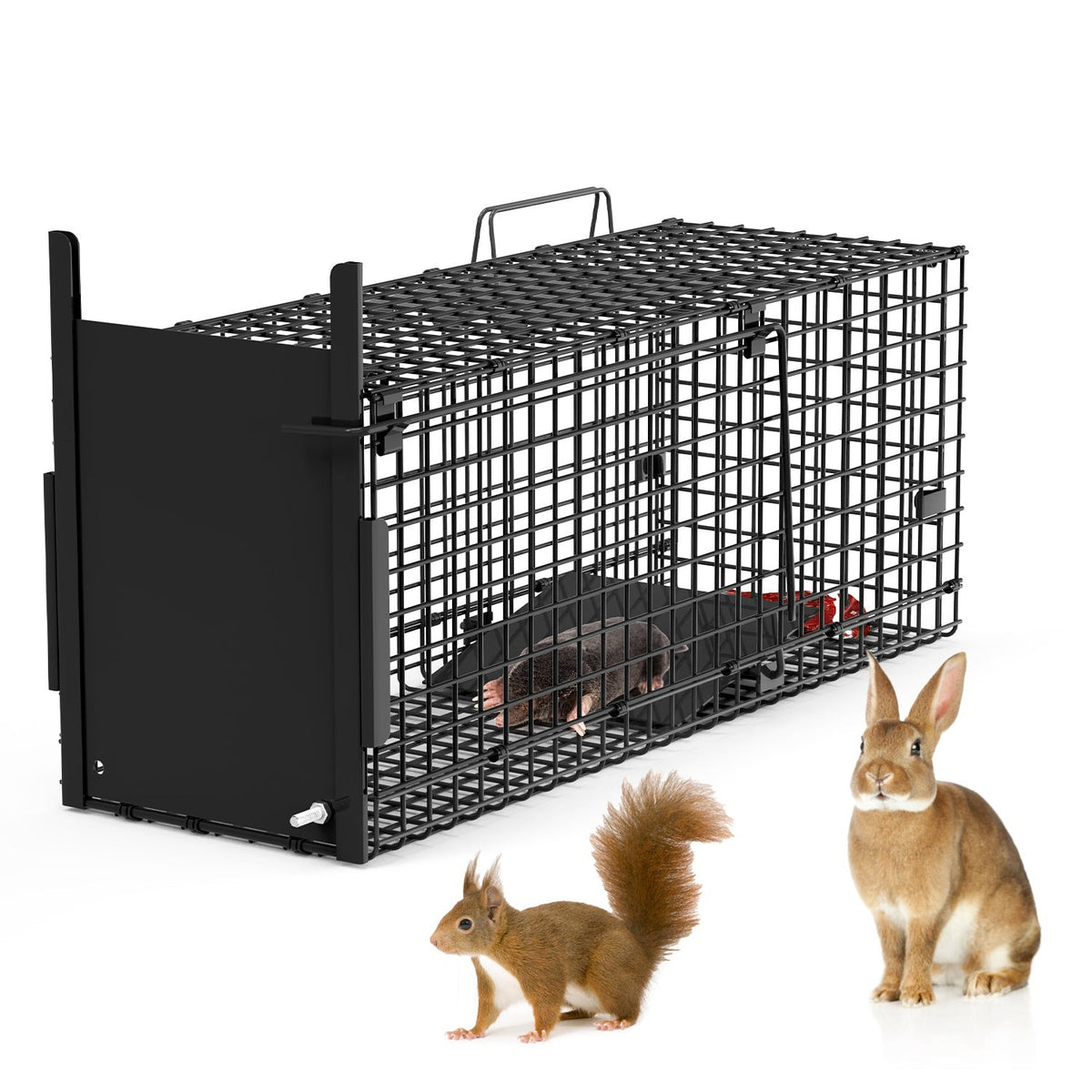 Humane Live Animal Trap – 40" (Raccoon & Opossum)