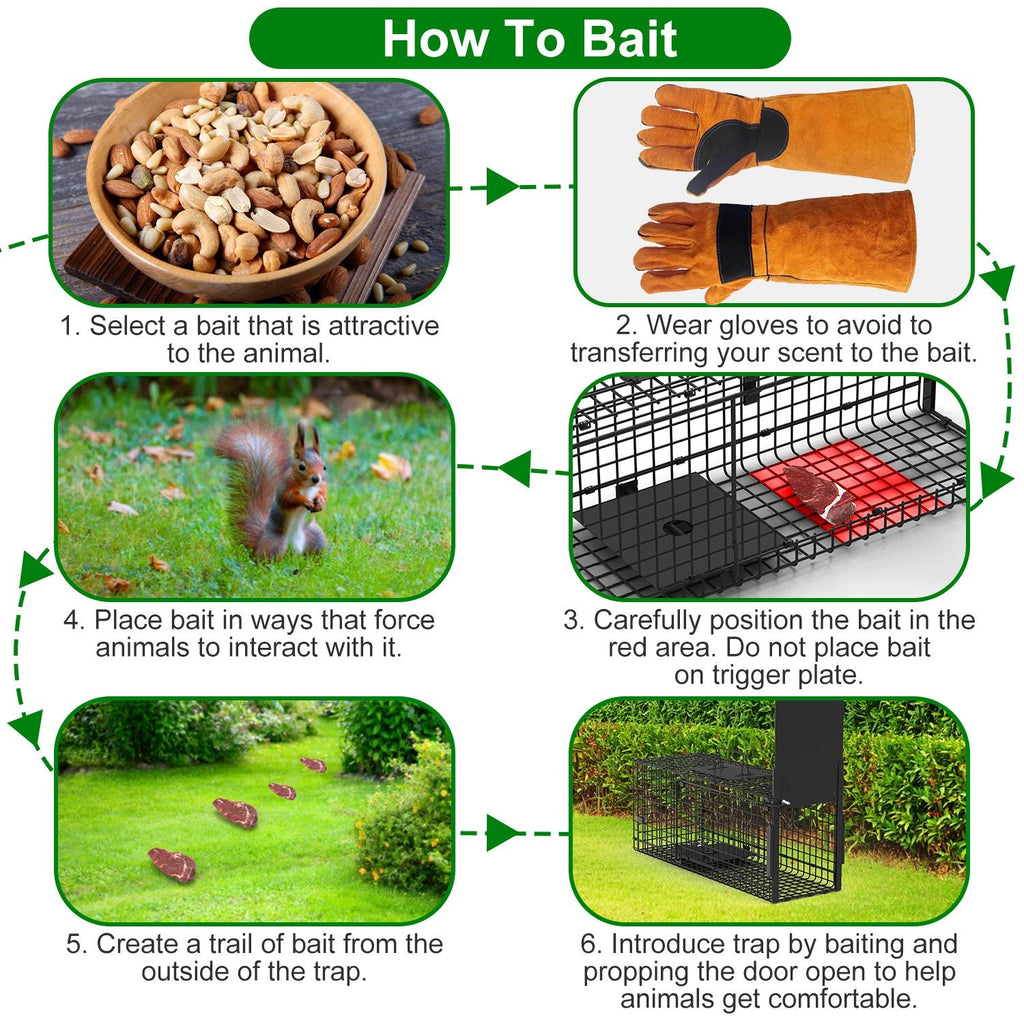 Humane Live Animal Trap – 40" (Raccoon & Opossum)