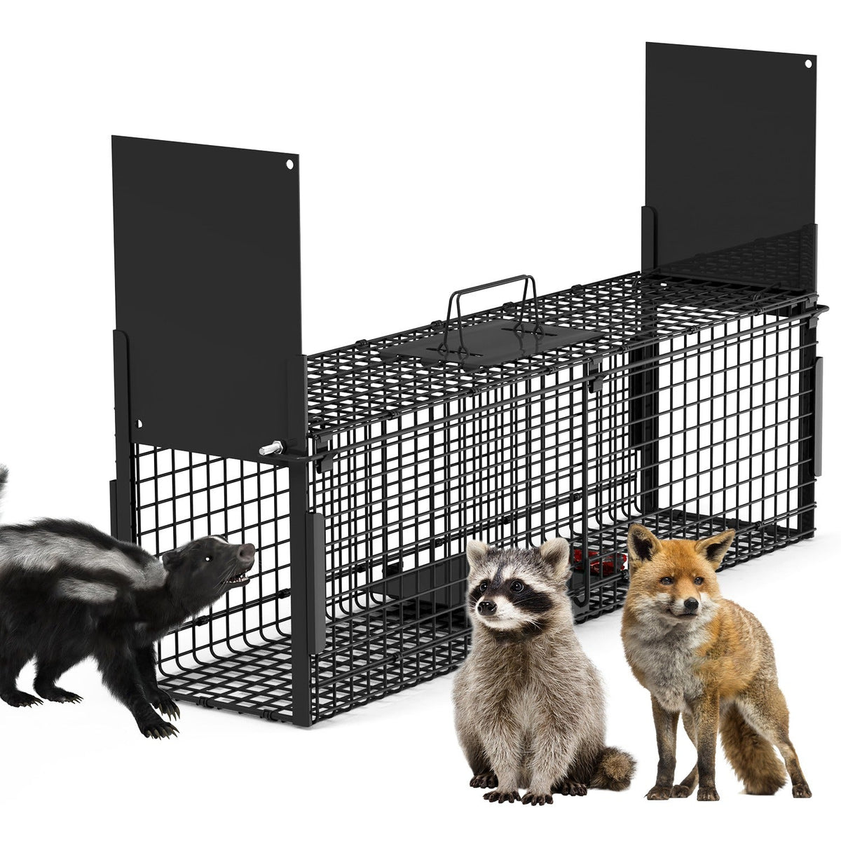 Humane Live Animal Trap – 40" (Raccoon & Opossum)