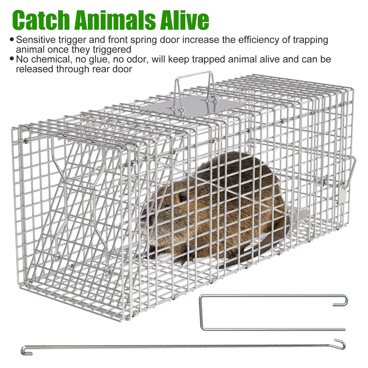 Humane Live Animal Trap with Waterproof Cover – 30.5"