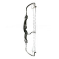 Rolan Cambium Compound Bow (Right-Handed)