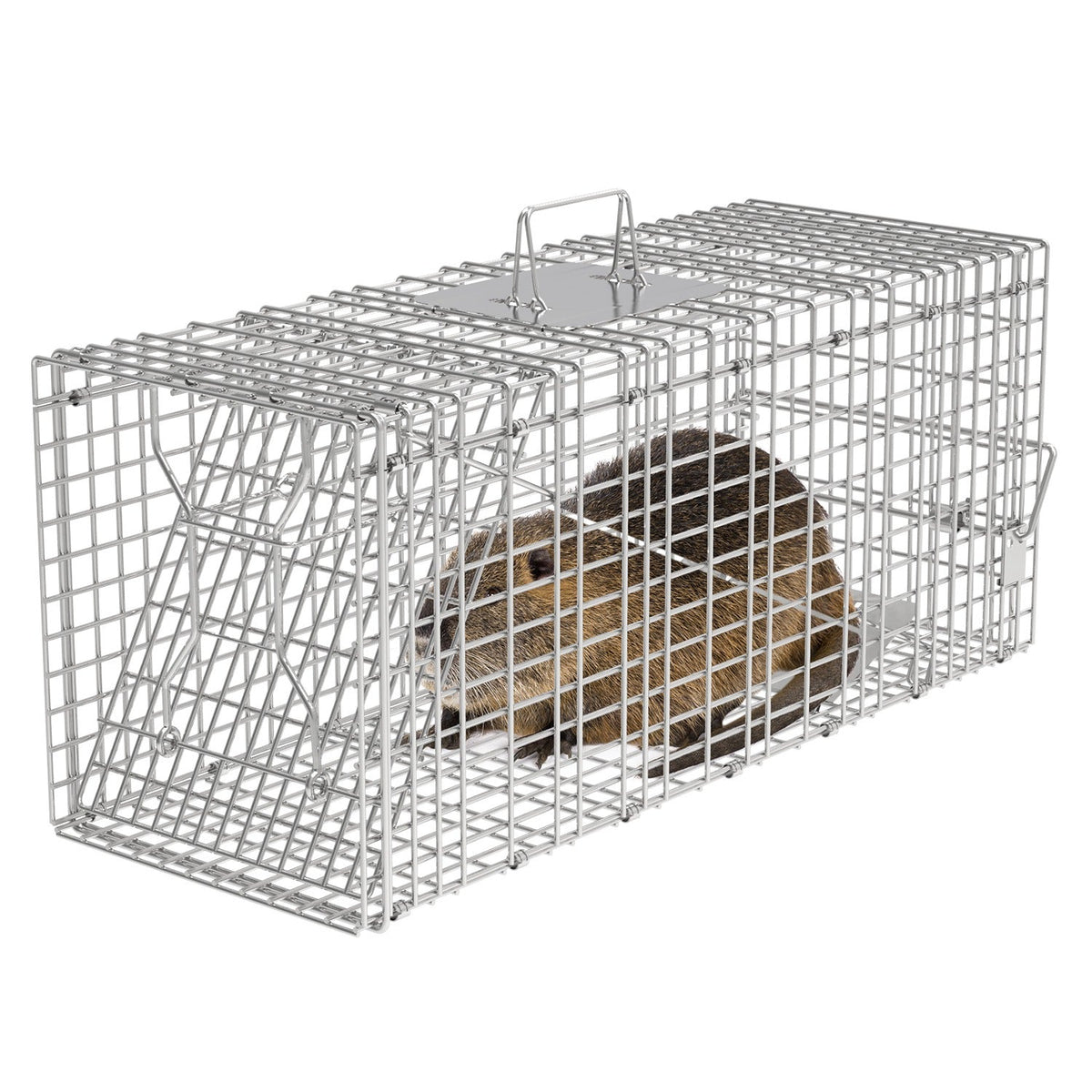 Humane Live Animal Trap with Waterproof Cover – 30.5"