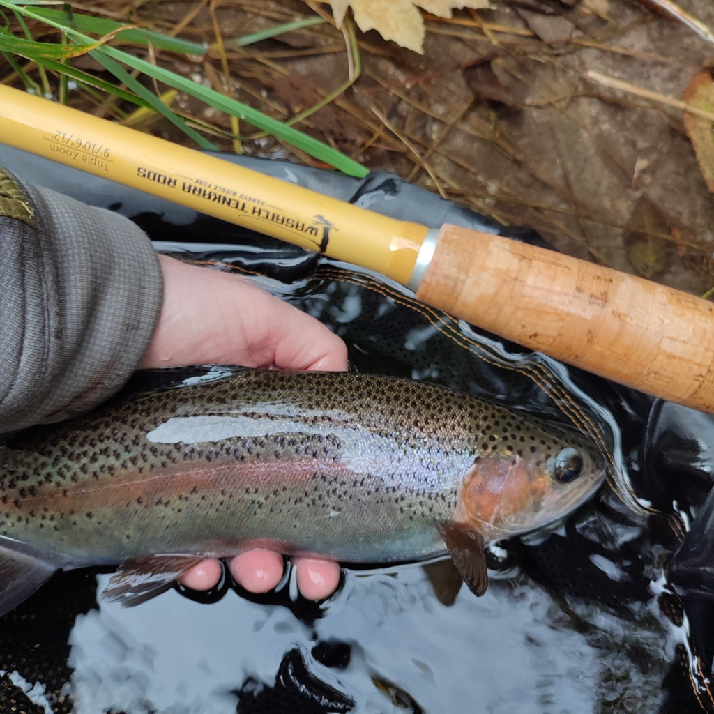 Hankyu Triple-Zoom Tenkara Rod – 9 to 12 ft