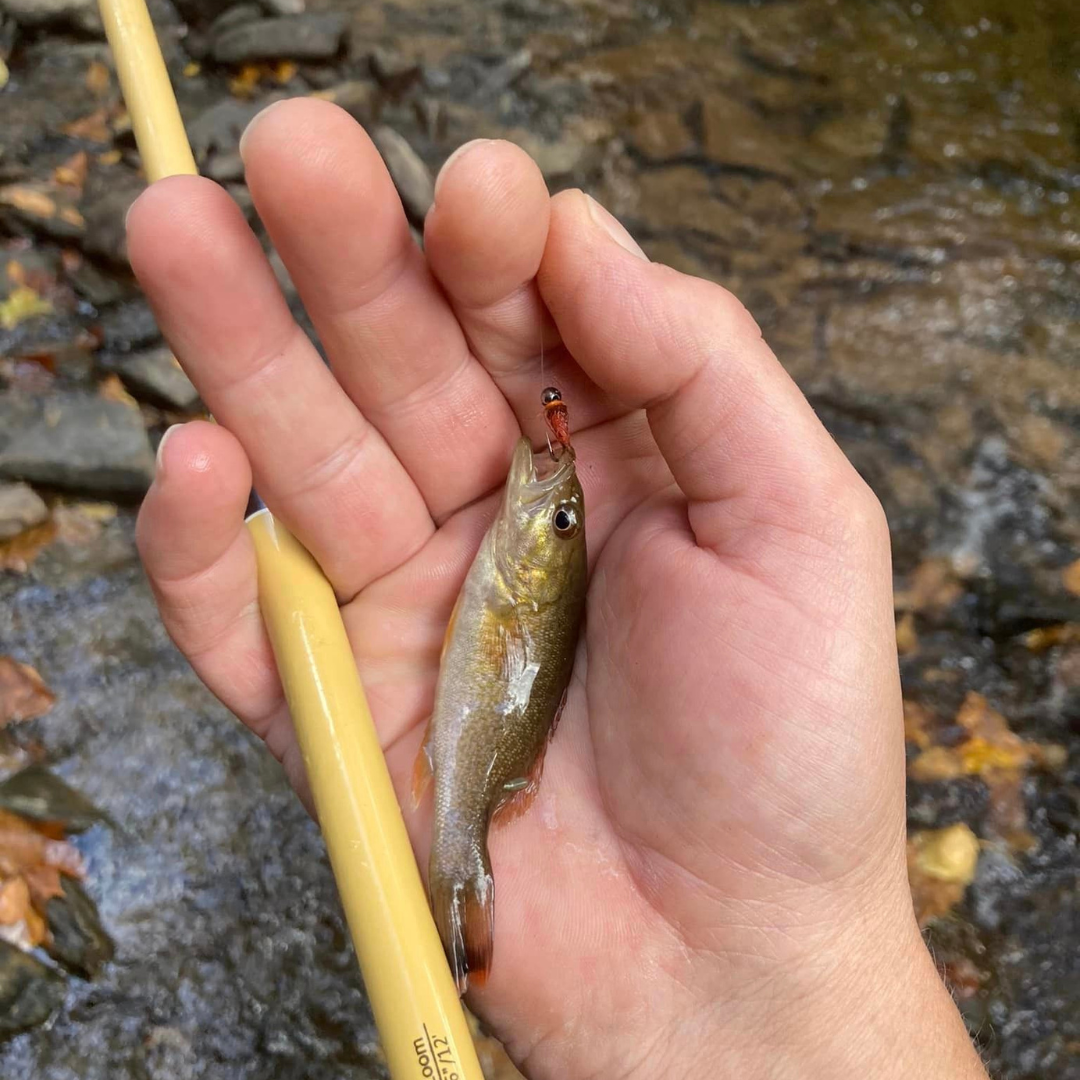 Hankyu Triple-Zoom Tenkara Rod – 9 to 12 ft