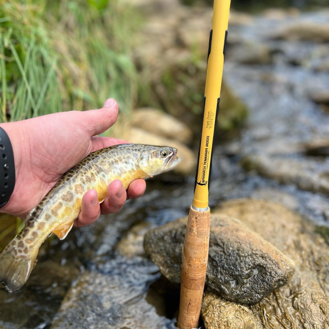 Hankyu Triple-Zoom Tenkara Rod – 9 to 12 ft