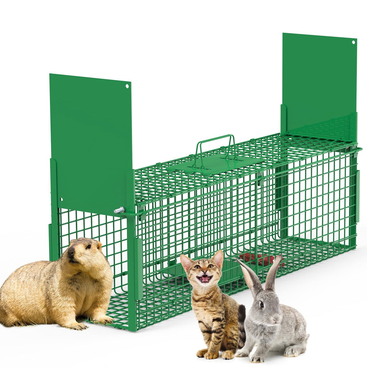Humane Live Animal Trap – 40" (Raccoon & Opossum)