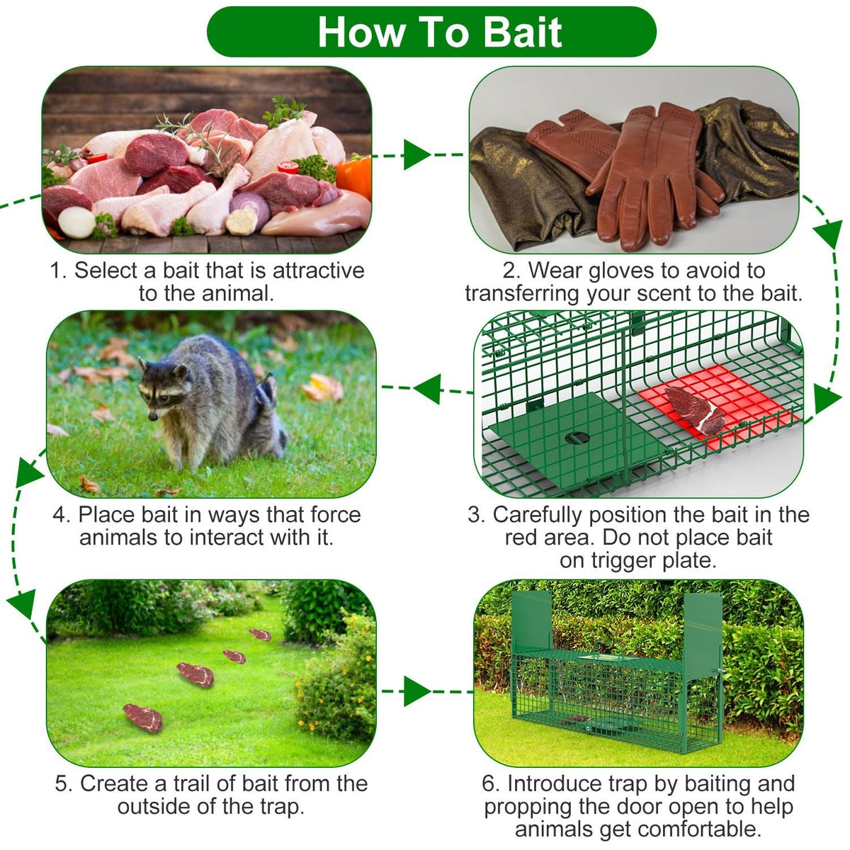 Humane Two-Door Live Animal Trap – 38"
