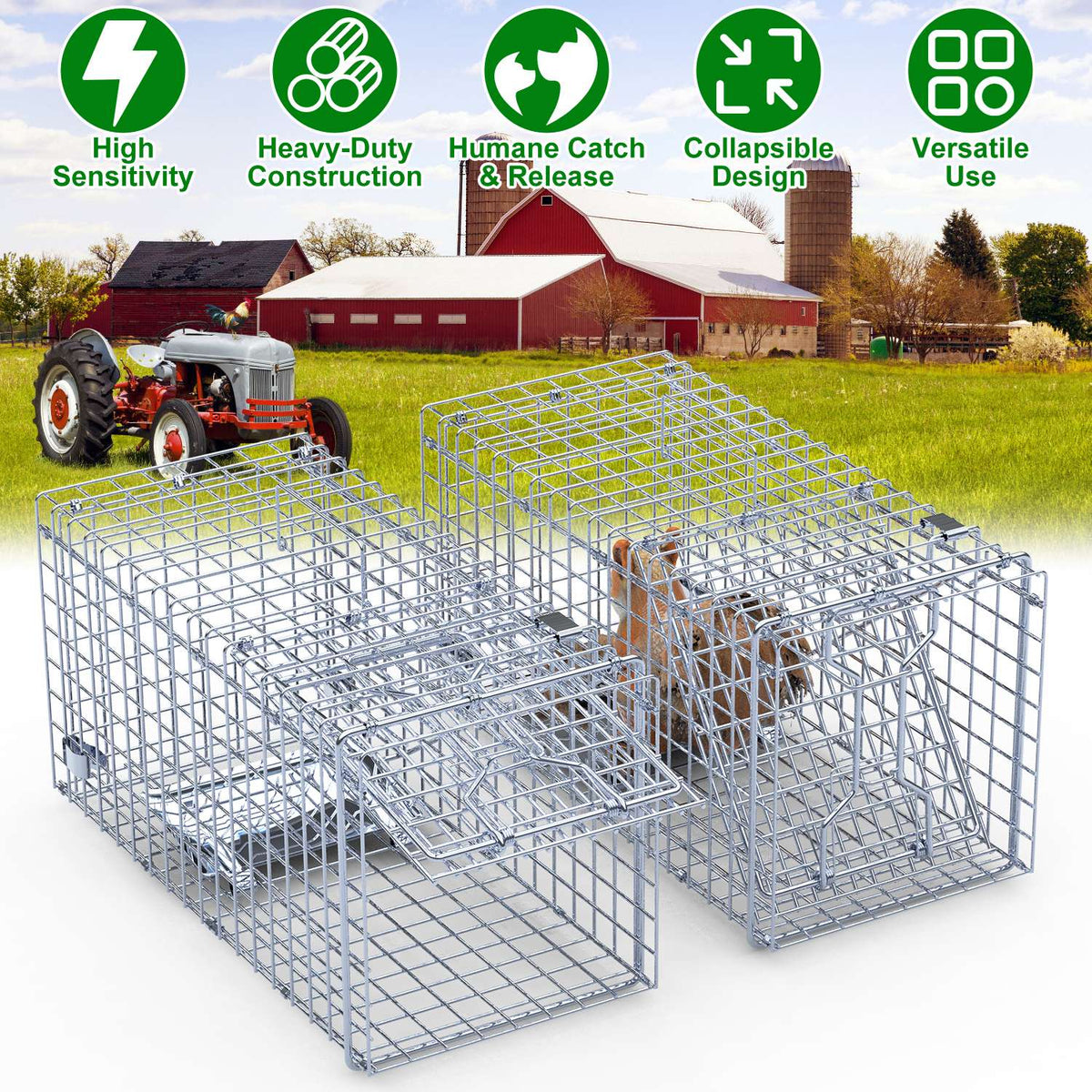 Humane Live Animal Traps – 18" 2-Pack