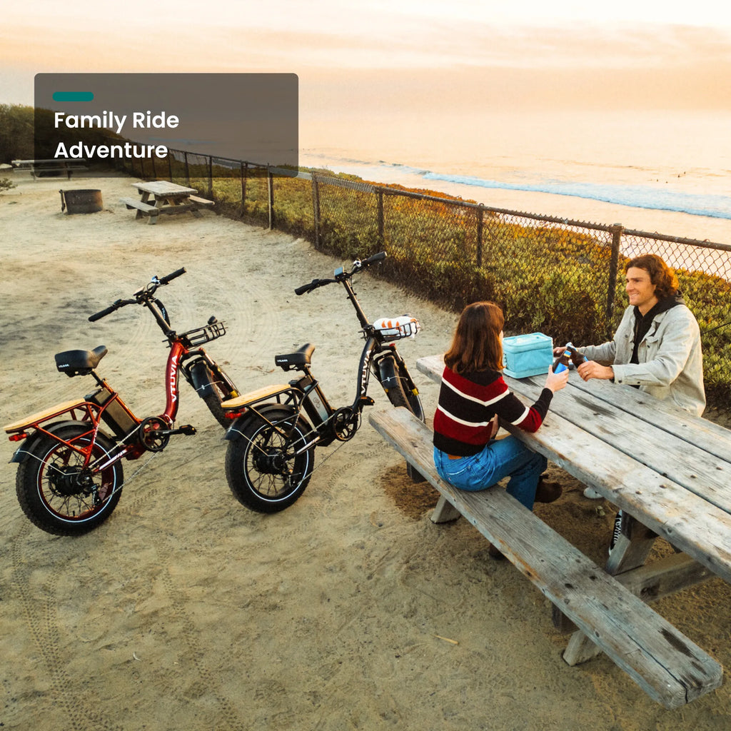 VTUVIA SF20H Folding Cargo E-Bike – 70-Mile Range, Fat Tires