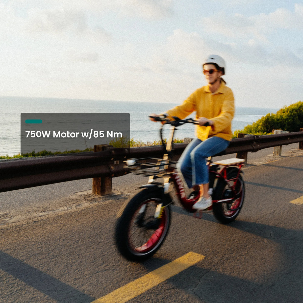 VTUVIA SF20H Folding Cargo E-Bike – 70-Mile Range, Fat Tires