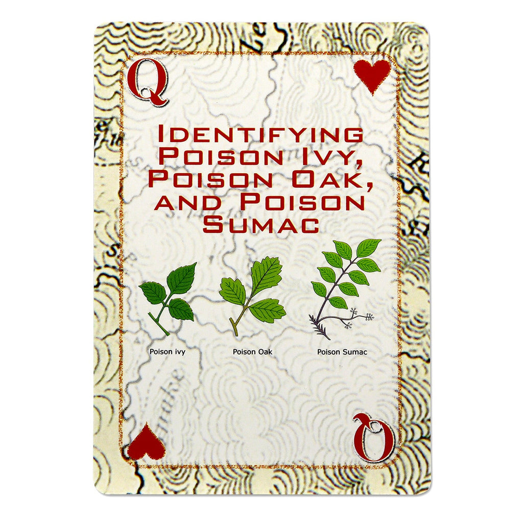 Survival Skills Playing Cards