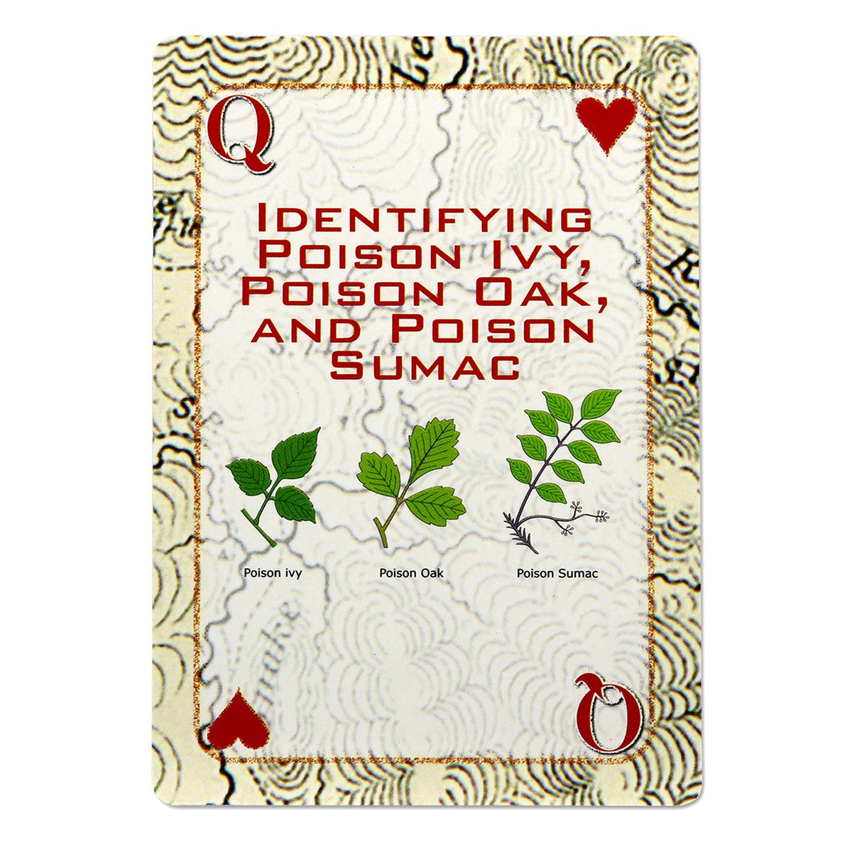 Survival Skills Playing Cards